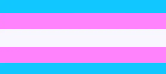The transgender flag.